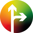 Sarah Driver Training